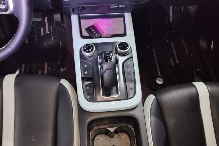 Used Tank 300 2021 City Edition 2.0T—Truly Stylish Gear Lever