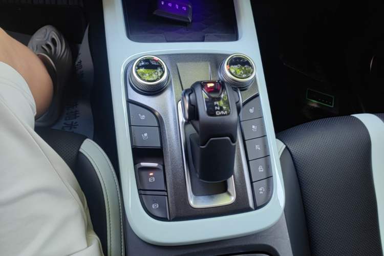 Used Tank 300 2021 City Edition 2.0T—Truly Stylish Gear Lever