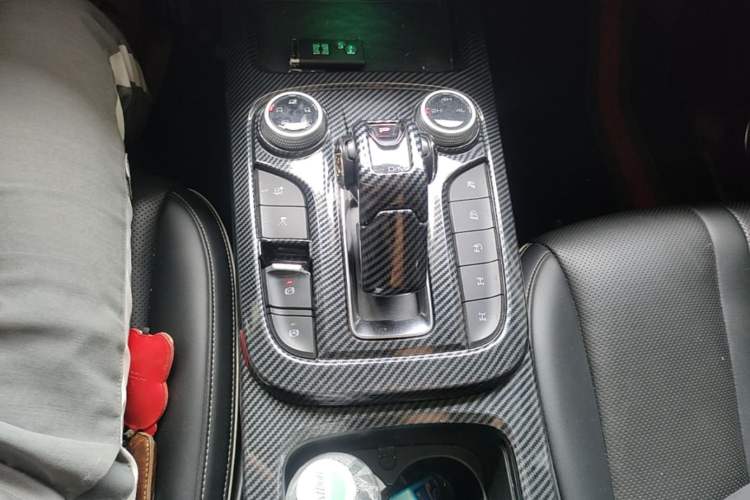 Used Tank 300 2021 Off-Road Edition 2.0T Conqueror Gear Lever