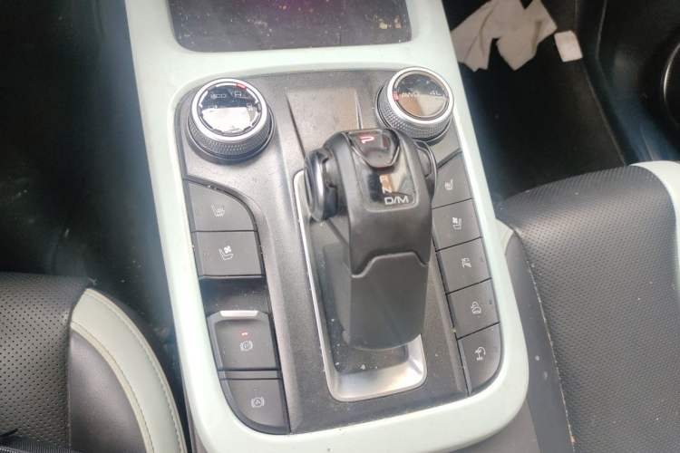 Used Tank 300 2021 City Edition 2.0T—Truly Stylish Gear Lever