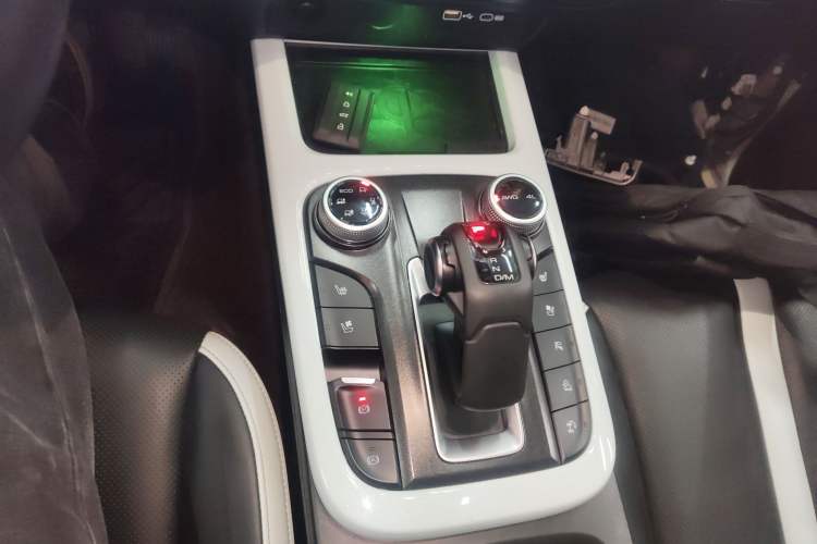 Used Tank 300 2021 City Edition 2.0T—Truly Stylish Gear Lever