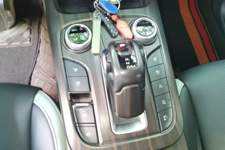 Used Tank 300 2021 City Edition 2.0T—Truly Stylish Gear Lever