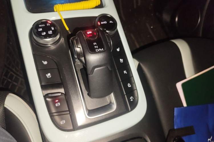 Used Tank 300 2021 City Edition 2.0T—Truly Stylish Gear Lever