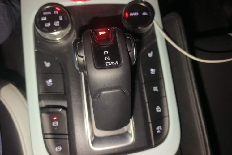 Used Tank 300 2021 City Edition 2.0T—Truly Stylish Gear Lever