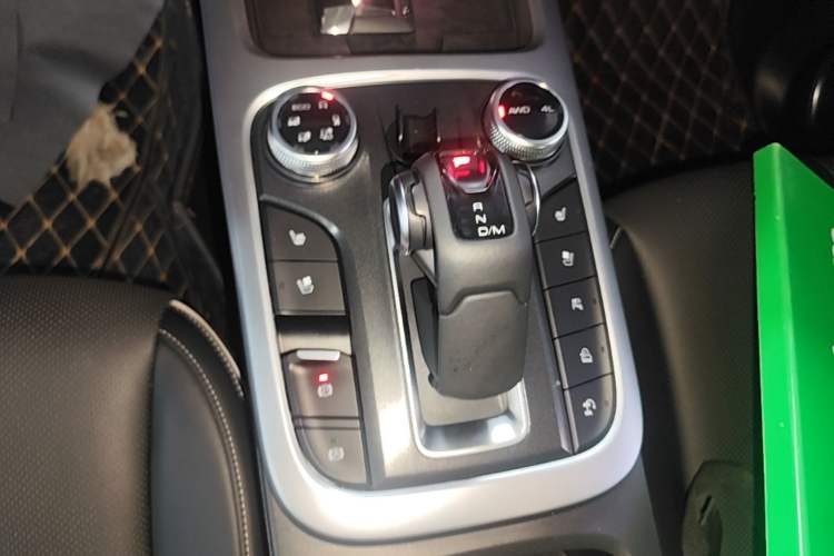 Used Tank 300 2021 City Edition 2.0T—Truly Stylish Gear Lever