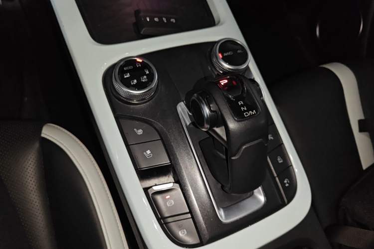 Used Tank 300 2021 City Edition 2.0T—Truly Stylish Gear Lever