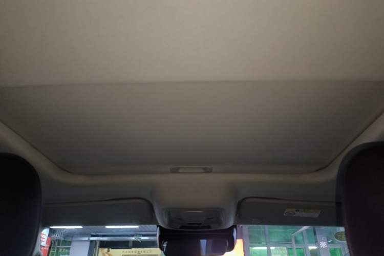 Used Tank 300 2021 City Edition 2.0T—Truly Stylish Headliner