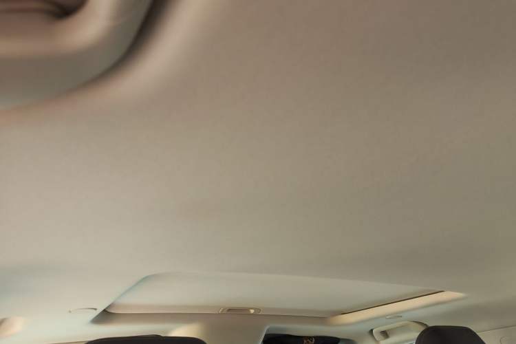 Used Tank 300 2021 City Edition 2.0T—Truly Stylish Headliner