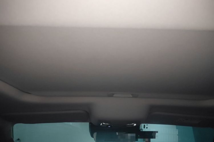 Used Tank 300 2021 Off-Road Edition 2.0T Conqueror Headliner