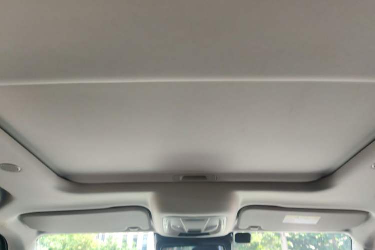 Used Tank 300 2021 City Edition 2.0T—Truly Stylish Headliner