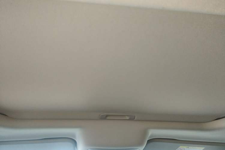 Used Tank 300 2021 City Edition 2.0T—Truly Stylish Headliner