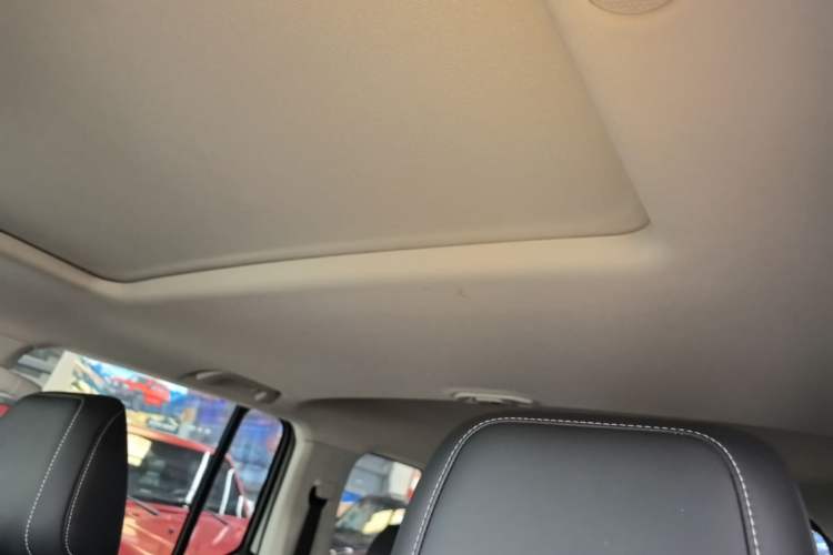 Used Tank 300 2021 City Edition 2.0T—Truly Stylish Headliner