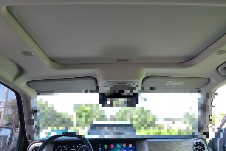 Used Tank 300 2021 City Edition 2.0T—Truly Stylish Headliner