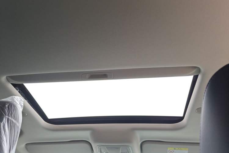 Used Tank 300 2021 City Edition 2.0T—Truly Stylish Headliner