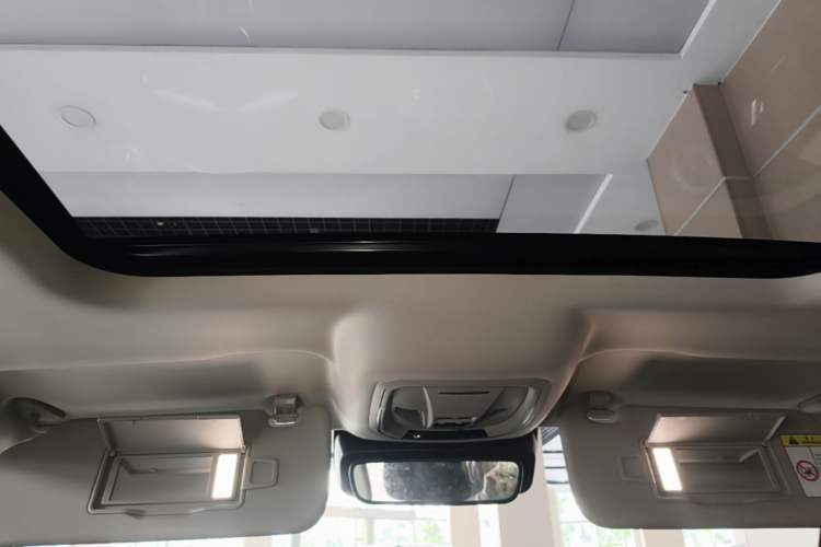 Used Tank 300 2021 City Edition 2.0T—Truly Stylish Headliner