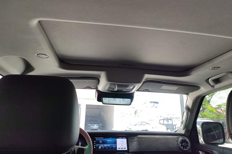 Used Tank 300 2021 City Edition 2.0T—Truly Stylish Headliner
