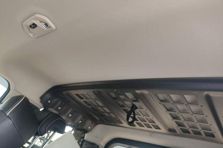 Used Tank 300 2021 2.0T Wind & Forest Iron Rider Headliner