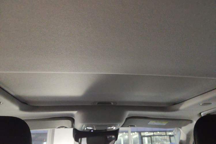 Used Tank 300 2021 City Edition 2.0T—Truly Stylish Headliner