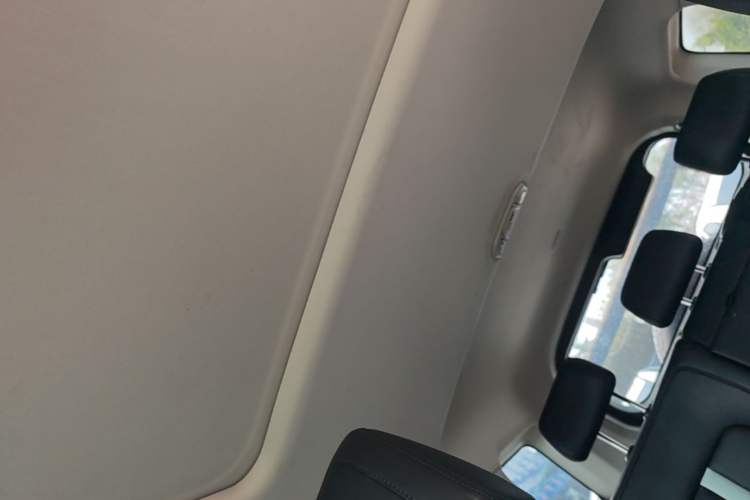 Used Tank 300 2021 City Edition 2.0T—Truly Stylish Headliner