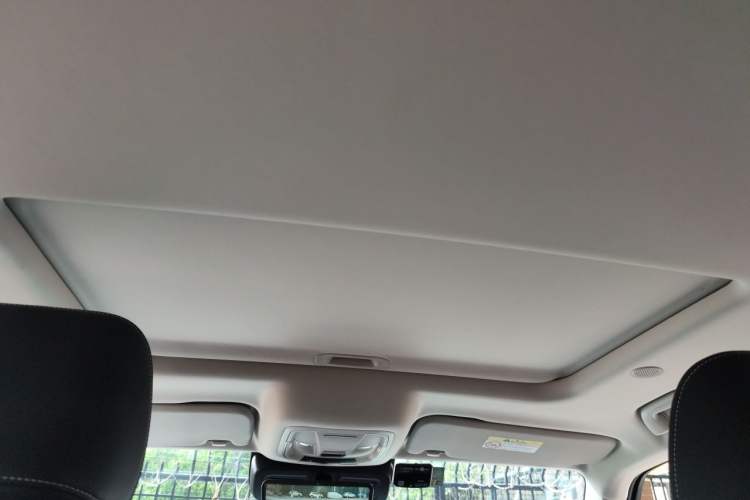 Used Tank 300 2021 City Edition 2.0T—Truly Stylish Headliner