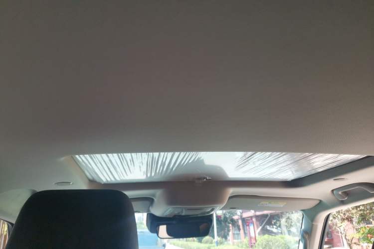 Used Tank 300 2021 City Edition 2.0T—Truly Stylish Headliner