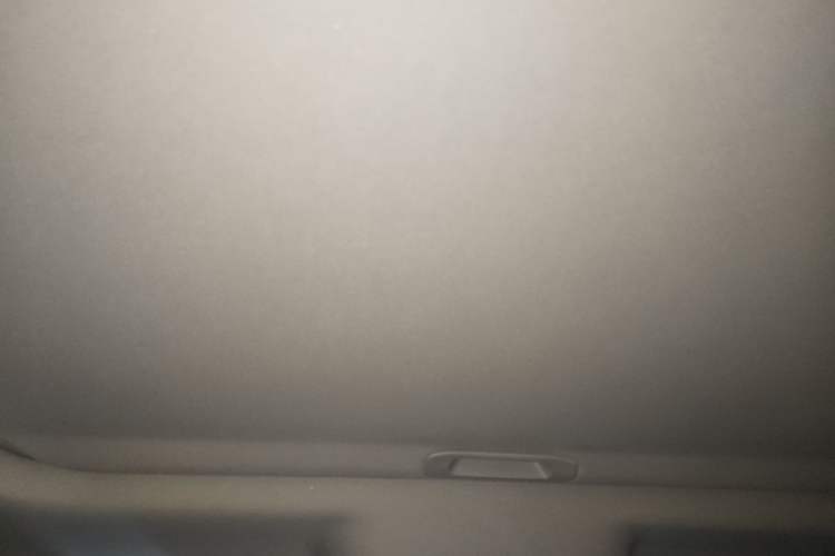 Used Tank 300 2021 City Edition 2.0T—Truly Stylish Headliner