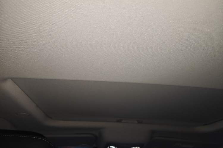 Used Tank 300 2021 City Edition 2.0T—Truly Stylish Headliner