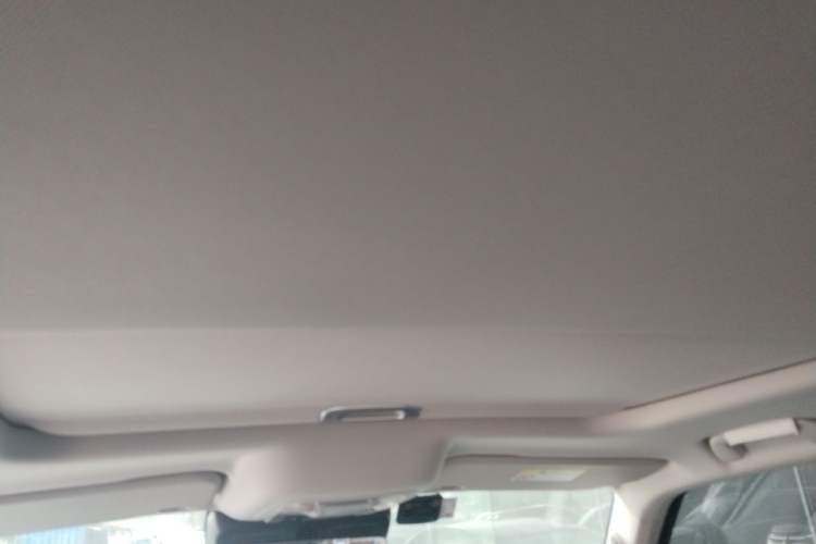 Used Tank 300 2021 Off-Road Edition 2.0T Conqueror Headliner