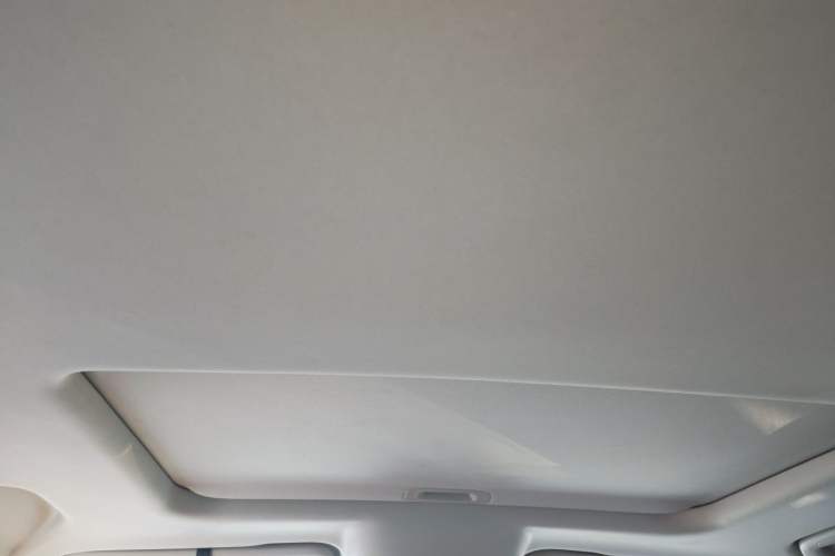 Used Tank 300 2021 2.0T Wind & Forest Iron Rider Headliner