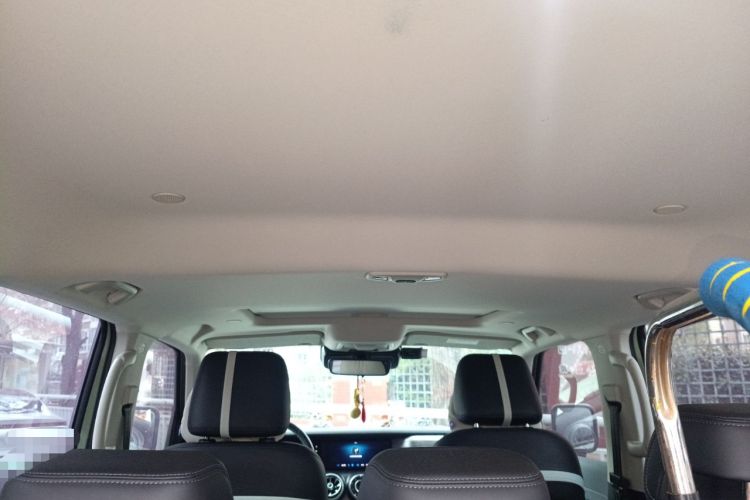 Used Tank 300 2021 City Edition 2.0T—Truly Stylish Headliner