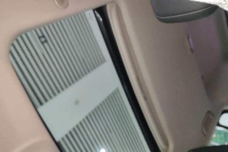 Used Tank 300 2021 City Edition 2.0T—Truly Stylish Headliner