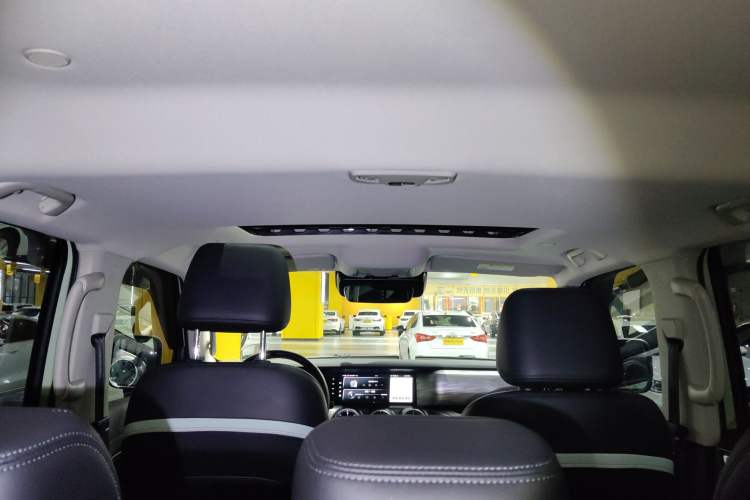 Used Tank 300 2021 City Edition 2.0T—Truly Stylish Headliner