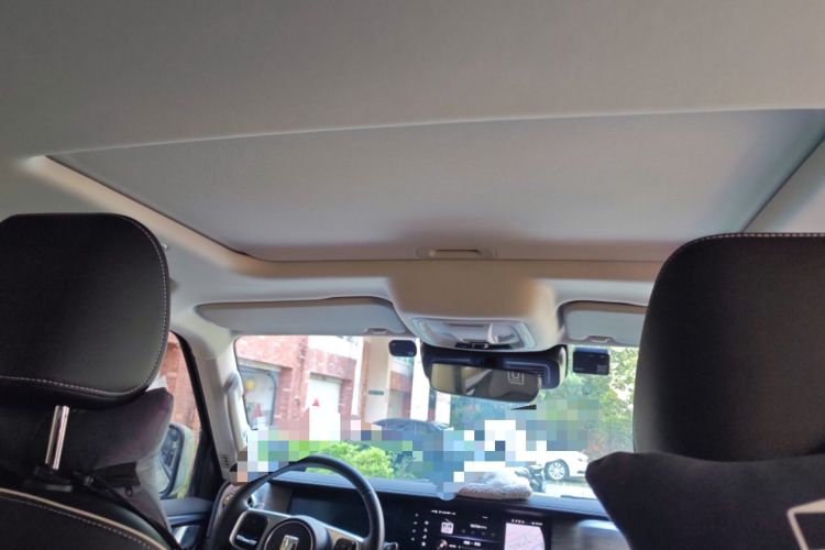 Used Tank 300 2021 City Edition 2.0T—Truly Stylish Headliner