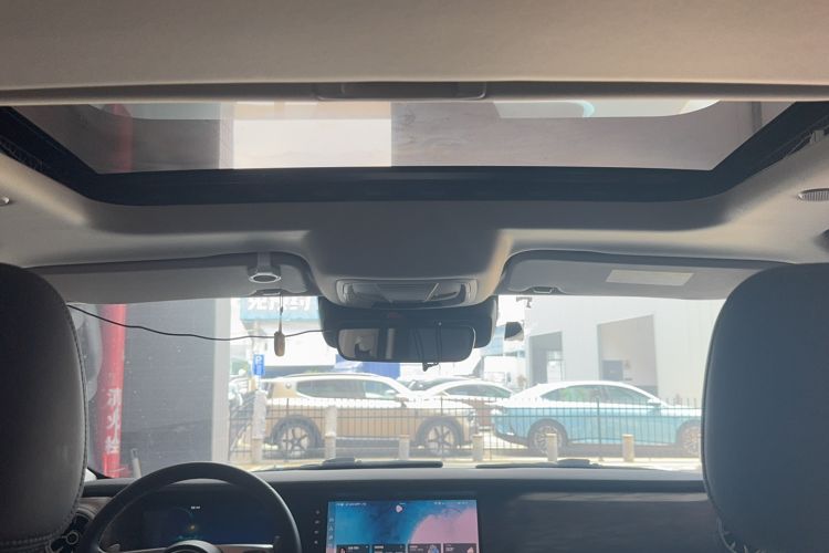 Used Tank 300 2021 City Edition 2.0T—Truly Stylish Headliner