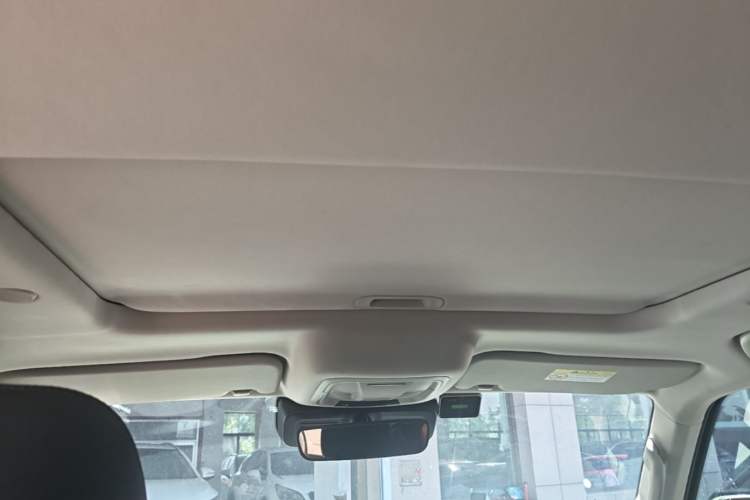 Used Tank 300 2021 City Edition 2.0T—Truly Stylish Headliner