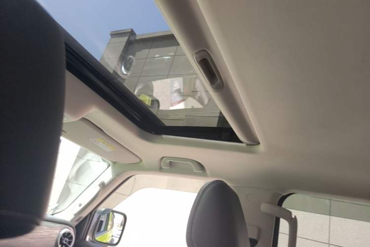 Used Tank 300 2021 2.0T Tank Ranger Headliner