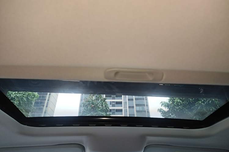 Used Tank 300 2021 City Edition 2.0T—Truly Stylish Headliner