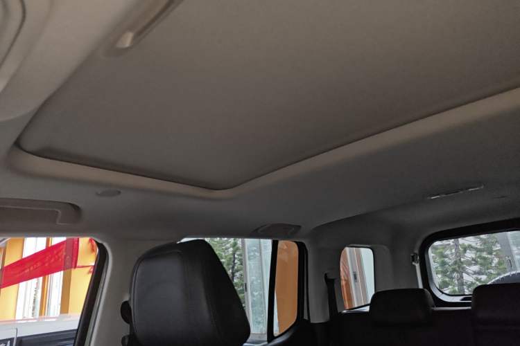 Used Tank 300 2021 City Edition 2.0T—Truly Stylish Headliner
