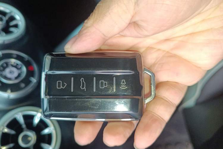 Used Tank 300 2021 City Edition 2.0T—Truly Stylish Interior 1