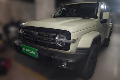 Used Tank 300 2021 City Edition 2.0T—Truly Stylish