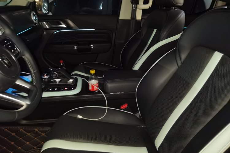 Used Tank 300 2021 City Edition 2.0T—Truly Stylish Left Front Seat