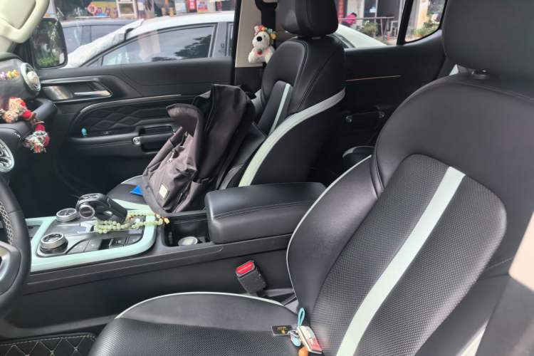 Used Tank 300 2021 City Edition 2.0T—Truly Stylish Left Front Seat