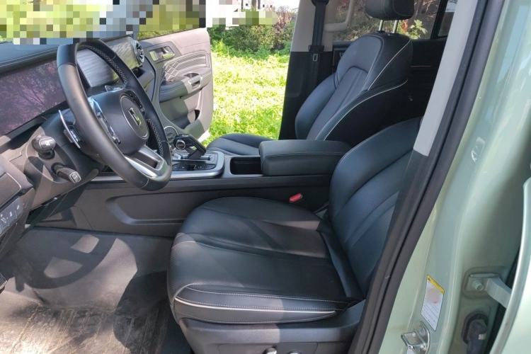 Used Tank 300 2021 City Edition 2.0T—Truly Stylish Left Front Seat