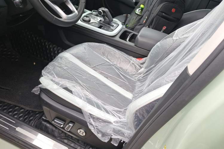 Used Tank 300 2021 City Edition 2.0T—Truly Stylish Left Front Seat