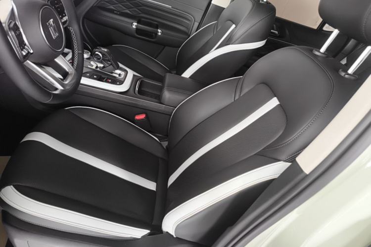 Used Tank 300 2021 City Edition 2.0T—Truly Stylish Left Front Seat