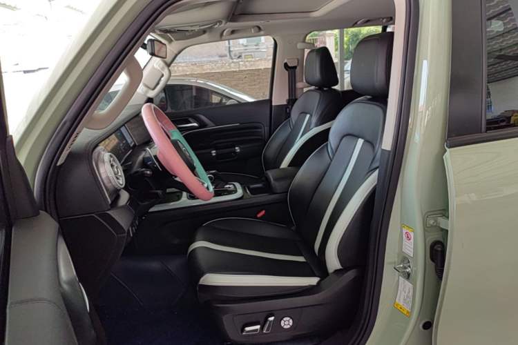Used Tank 300 2021 City Edition 2.0T—Truly Stylish Left Front Seat