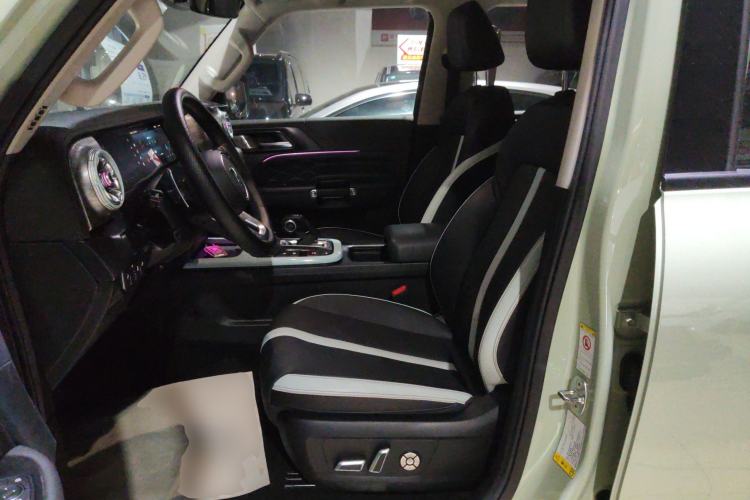 Used Tank 300 2021 City Edition 2.0T—Truly Stylish Left Front Seat