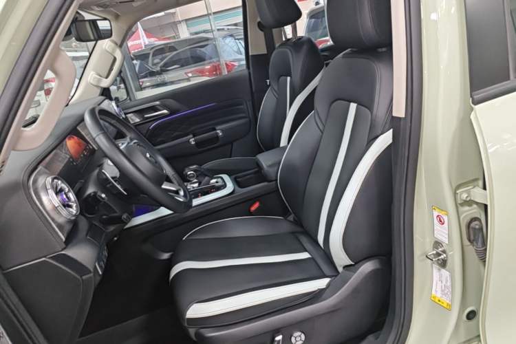Used Tank 300 2021 City Edition 2.0T—Truly Stylish Left Front Seat