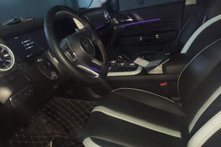 Used Tank 300 2021 City Edition 2.0T—Truly Stylish Left Front Seat