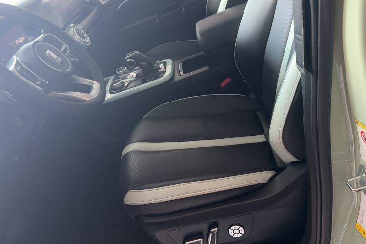 Used Tank 300 2021 City Edition 2.0T—Truly Stylish Left Front Seat